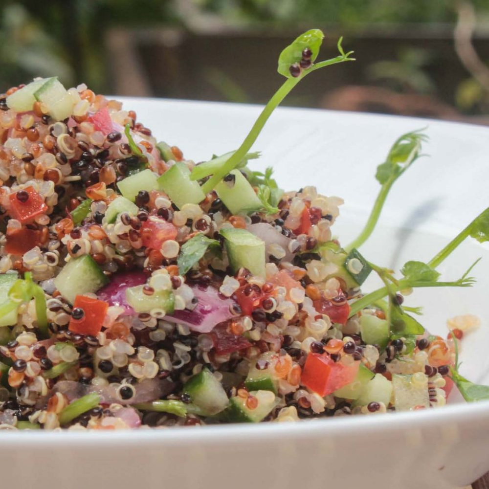 Tabbouleh de quinoa con germinados de chícharo