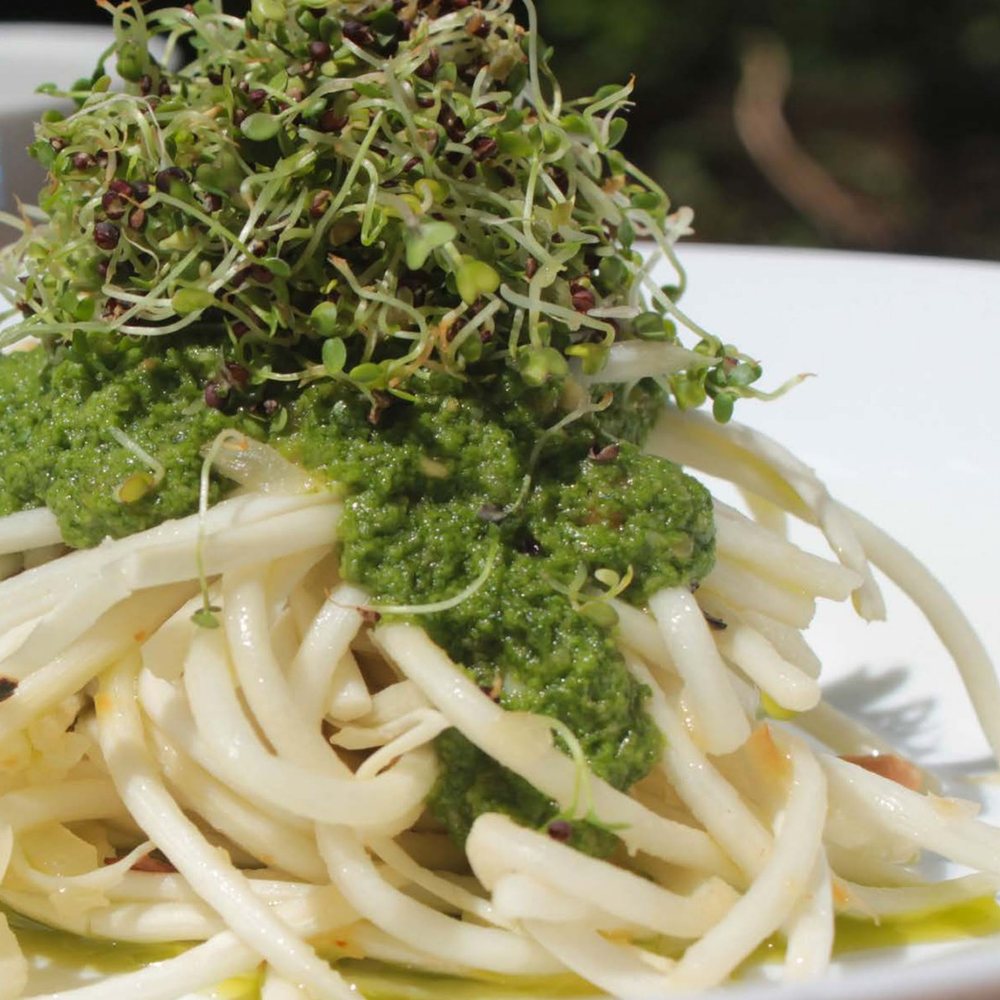 Tallarín de palmito con pesto de berro y germinados de berro