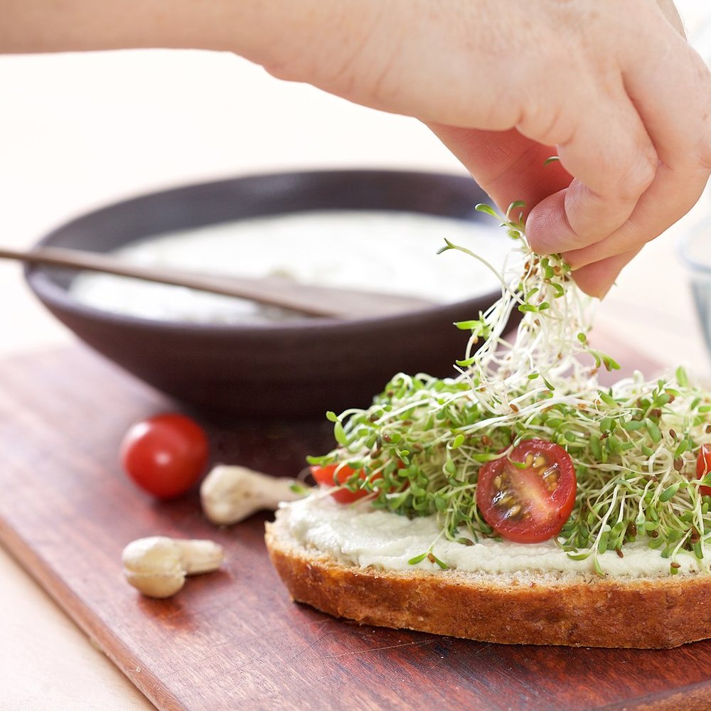Tostada con crema y germinados frescos encima